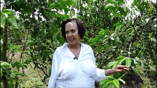 I Mixed My Coffee With Bees 🐝 To Have A Bumper Harvest in 2024 - Prof. Maggie Kigozi