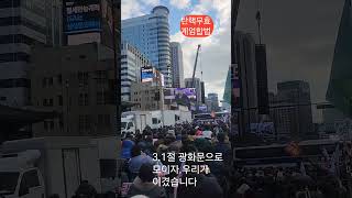 광화문현장스케치 3.1절 광화문으로 가자!