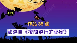 普通話水平測試（2021年版）  作品 38 號 《夜間飛行的秘密》 #putonghua #mandarin