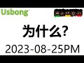 Chinese 为什么 2023-08-25PM：#80