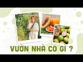 Mùa Này Vườn Nhà Mình Có Gì???? | Tiểu Màn Thầu