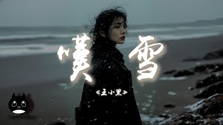 王小黑 - 嘆雪『欲松柏做紅妝卻鳳霞落寒霜，恐待新顏換舊傷嘆天涯各一方。』【動態歌詞 | Pinyin Lyrics】【PENGUIN MUSIC】