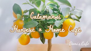 [ENG/JPN] おうちカフェ🍊 Calamansi Harvest \u0026 Syrup Making 깔라만시청 カラマンシー 収穫 \u0026 シロップ作ってみた♡