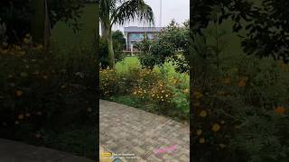 CSJMU: Life at kanpur University |CSJMU University Campus | CSJM University Vl...