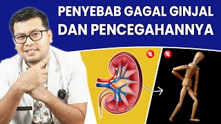 PENYEBAB GAGAL GINJAL DAN PENCEGAHANNYA - DOKTER SADDAM ISMAIL