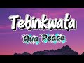 AVA PEACE - TEBINKWATA (lyrics video official)