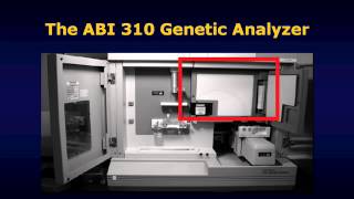 Generating forensic DNA profiles