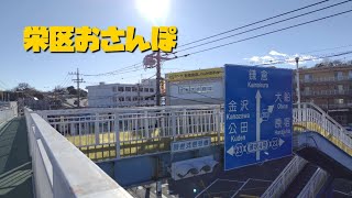 451  栄区おさんぽ　1月8日 ⑤