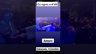 Amaro - Las mujeres en el club (sabaneta, Colombia)