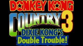 Cavern Caprice - Donkey Kong Country 3: Dixie Kong's Double Trouble! (SNES) Music Extended