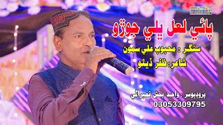 Paie Lal Bhali Joro | Singer Mehboob Ali Samo | New Song | Wahid Production | 2025