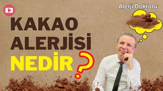 Kakao Alerjisi Nedir? - Prof. Dr. Ahmet Akçay - Alerji Doktoru