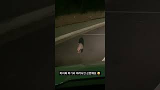 아저씨 여기서 이러시면 곤란해요 #shorts