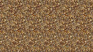 Stereogram Viewing Methods Tutorial - Parallel vs X (Cross Eyes)