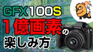 GFX100S購入を迷っている方のための「1億画素の楽しみ方」※作例付き ※画素数信者じゃありません