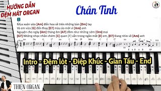 Hướng dẫn đệm hát Organ CHÂN TÌNH vừa dễ vừa hay || THIỆN ORGAN