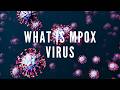 What is mpox? (Monkey pox virus)