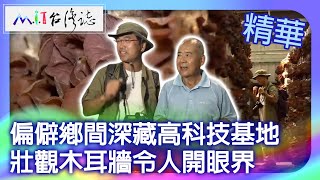 偏僻鄉間深藏高科技基地　壯觀木耳牆令人開眼界｜嘉義縣番路鄉　麥覺明【 ‪‪‪‪ ‪‪‪‪‪‪‪‪‪‪‪‪‪‪‪‪‪‪‪‪‪‪‪‪‪‪‪‪‪‪‪@ctvmit  656集】