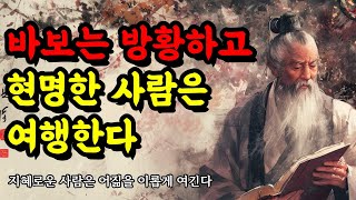 지혜로운 사람은 어짊을 이롭게 여긴다 | 인생의 지혜 | 채근담, 논어, 역경, 장자, 맹자, 쇼펜하우어, 칸트 | 바보는 방황하고 현명한 사람은 여행한다