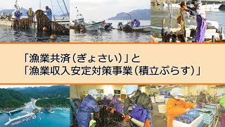 第１章　総論編　 漁業共済 と 漁業収入安定対策事業（積立ぷらす）