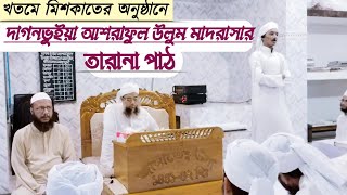 খতমে মিশকাতের অনুষ্ঠানে দাগনভুইয়া আশরাফুল উলুম মাদরাসার চমৎকার একটি তারানা পাঠ।