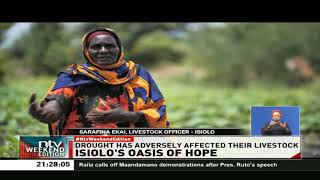 Isiolo’s oasis of hope amid drought