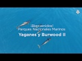 ¡Bienvenidos! Parques Nacionales Marinos #Yaganes y #BurwoodII