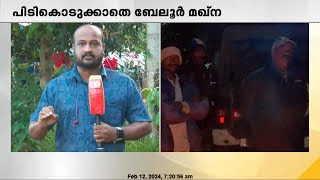 ആളെക്കൊല്ലി കാട്ടാന ബേലൂർ മഖ്നയെ പിടികൂടാനുള്ള ദൗത്യം 9 മണിയോടെ പുനരാരംഭിക്കും