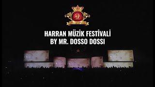 Harran Müzik Festivali By Mr Dosso Dossi