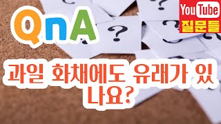 과일 화채에도 유래가 있나요?