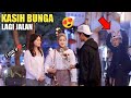 VIRAL!! KASIH BUNGA CANTIK LQGI JALAN