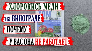 🍇 Честный обзор! ХЛОРОКИСЬ МЕДИ против МИЛДЬЮ на ВИНОГРАДЕ! Почему она у Вас не работает?