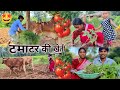 🤔 देशी तारिका टमाटर की खेती कैसे करें | SR EKKA VLOGS | Village rural hard wark | New couple vlogs