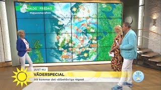 Det blir bra TV-väder till midsommar - Nyhetsmorgon (TV4)