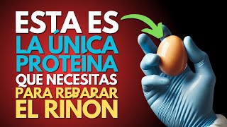 Por qué esta proteína es la clave para DETENER la enfermedad renal.