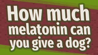 How much melatonin can you give a dog?
