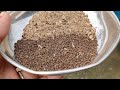 गार्डेन के सभी पौधे के लिए अमृत है ये खाद।homemade fertilizer for plan.organic fertilizer.plant care