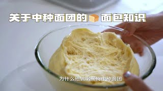 1分钟get中种法如何制作和判断｜烘焙新手必看1