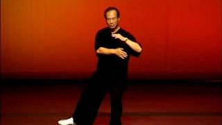 Cheng Man Ching Form mit Meister Wang Chin Shih Taiwan