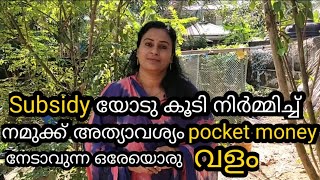 മറ്റൊന്നിനും പകരം വെക്കാനാവാത്ത ഒരു best ever fertilizer/subsidy യോടു കൂടി നിർമ്മിക്കാം/Vermicompost