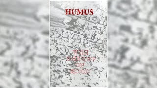 Humus - The Beauty Of Wood (Cassette Rip)