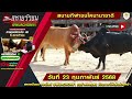 🔴ไลฟ์สดวัวชน สนามกีฬาชนโคนานาชาติ วันที่ 23 กุมภาพันธ์ 2568 วัวชน วัวชนสดวันนี้ วัวชนถ่ายทอดสด