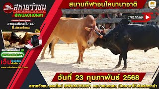 🔴ไลฟ์สดวัวชน สนามกีฬาชนโคนานาชาติ วันที่ 23 กุมภาพันธ์ 2568 #วัวชน  #วัวชนสดวันนี้  #วัวชนถ่ายทอดสด