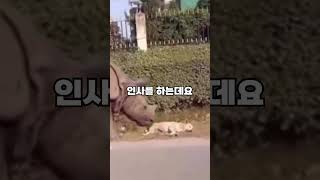 개놀람의 정석