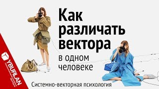 Как различать вектора в одном человеке. Системно-векторная психология. Юрий Бурлан