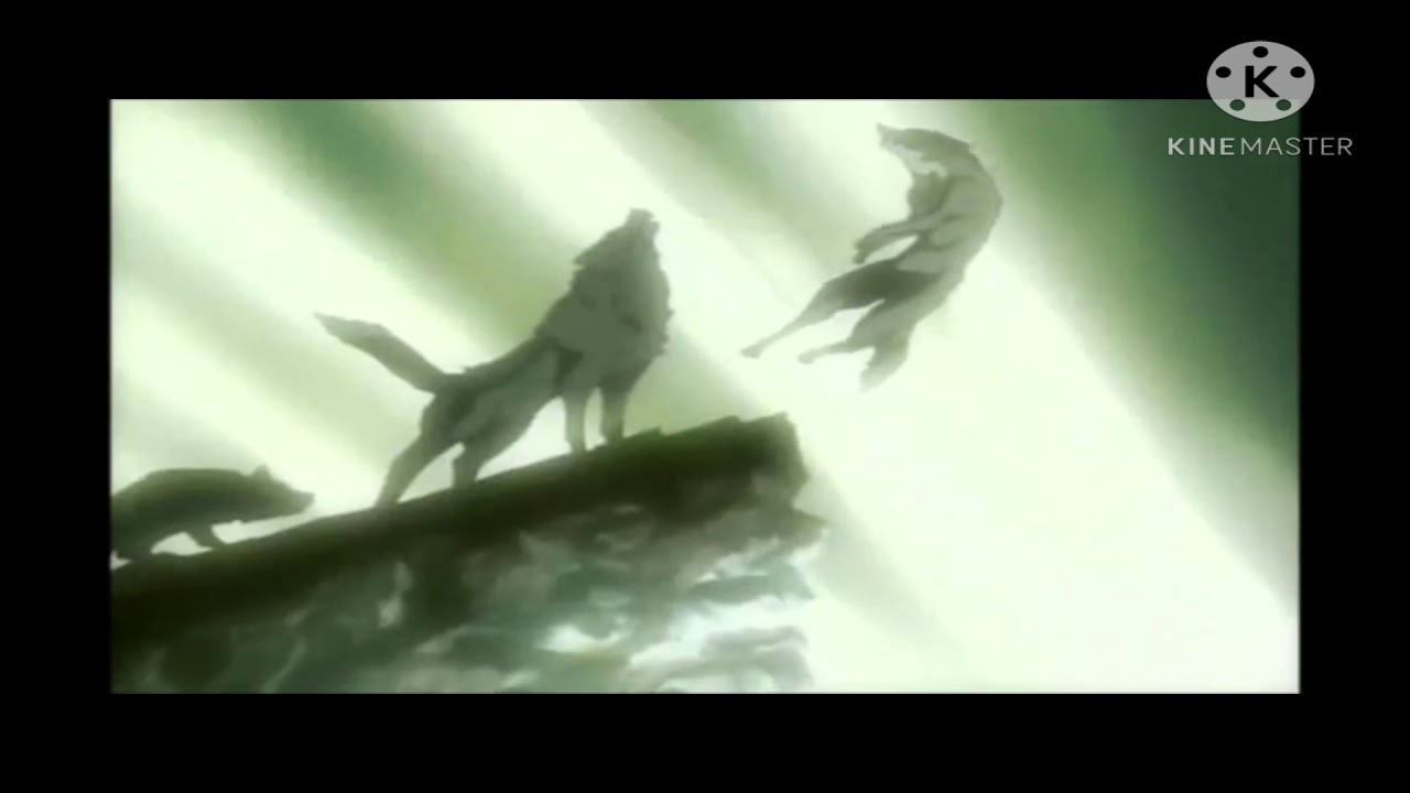 Wolf S Rain Amv Who You Are Youtube Music