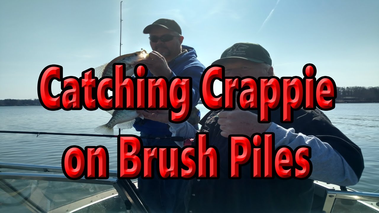 Catching Crappie On Brush Piles,how To Catch Crappie,tip For Using Jigs ...