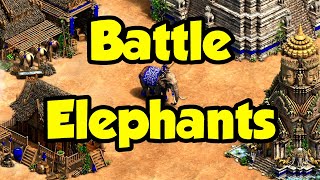 Battle Elephants! 🐘 (AoE2)