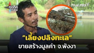 ชาวเกาะยาวน้อยเลี้ยงปลิงทะเลขายสร้างมูลค่า | ทุกทิศทั่วไทย | 5 ก.ย. 67