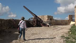 Morella